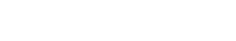 A Nice Indian Boy logo