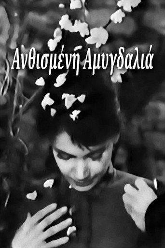 Blossoming Almond Tree (1959)