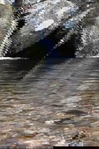 Water, Star Medicine poster