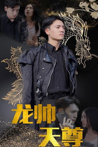 龙帅天尊 poster