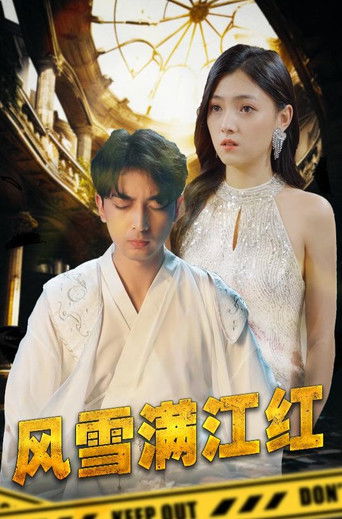 风雪满江红 poster