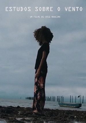 Estudos Sobre o Vento poster