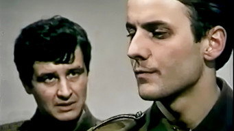 Appassionata (1984)