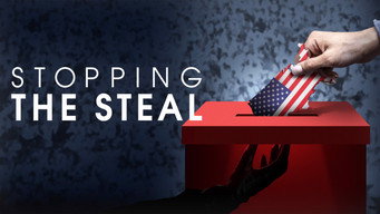 Stopping the Steal (2024)