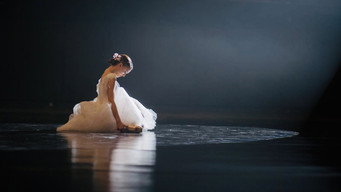 Black Swan: Metamorphosis (2011)