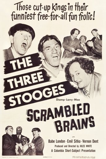 Poster för Scrambled Brains