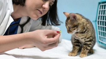 That's Amore - S1E01