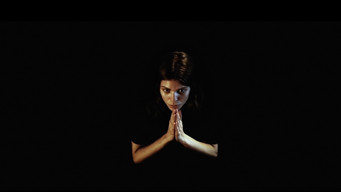 Galeria 5 - Excision