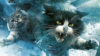 Catnado (2022)