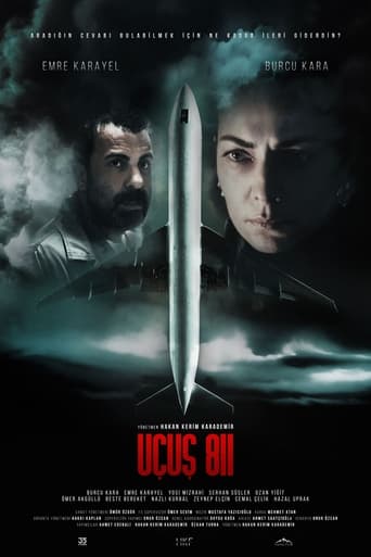 Poster of Uçuş 811