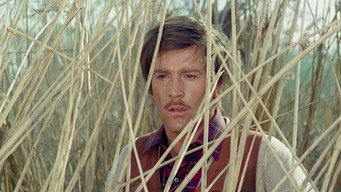 No, the Case Is Happily Resolved (1973)