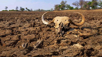 The Big Dry (2016)