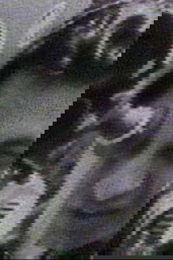 Film For...