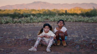 Burros media image