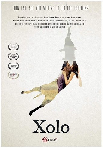 capa filme