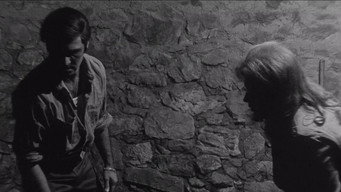 #17 The Honeymoon Killers