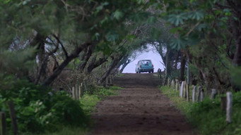 Pulang media image