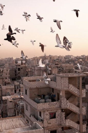 Journey of a Sofa (2014)