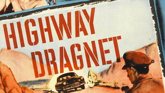 #8 Highway Dragnet
