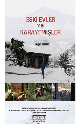 Eski Evler ve Karayemişler