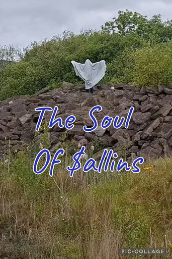 The Soul Of Sallins poster