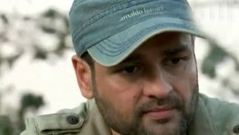 Episode 334 — Episode 334