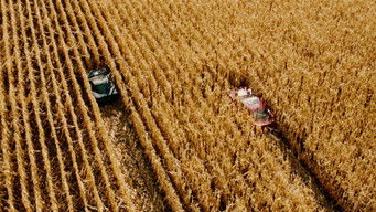 Galeria 5 - El último desafío