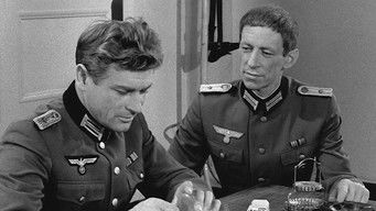 Episode 11 — Episode 11