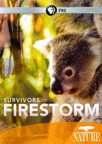 Nature: Survivors of the Firestorm poster