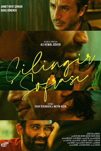 Poster 6