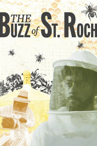 The Buzz of St. Roch poster