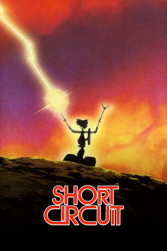 Short Circuit
