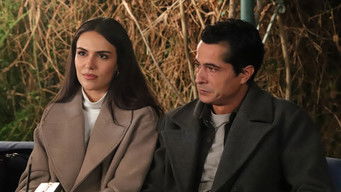 Episode 8 — Episode 8