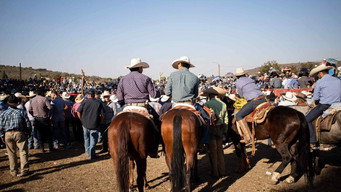 #4 Jaripeo