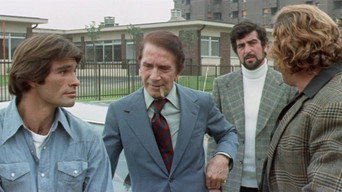 #8 The Violent Professionals