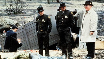 #9 Borderline