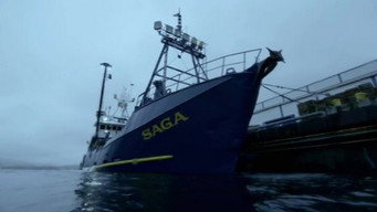Pesca radical T11E4