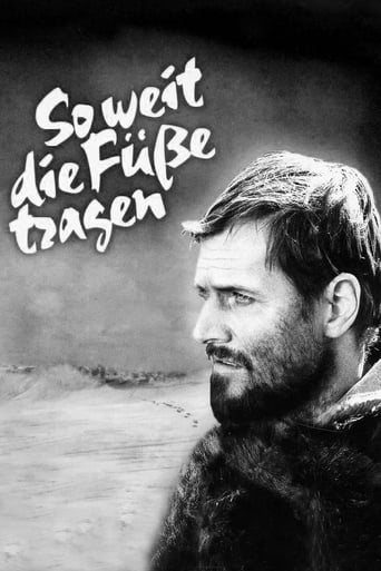 Poster of So weit die Füße tragen