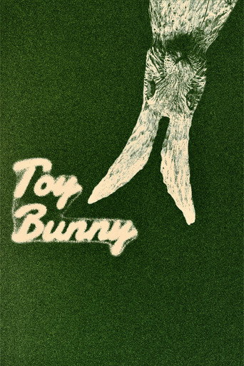 2. Toy Bunny
