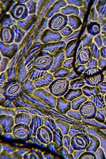 Breathing Space poster