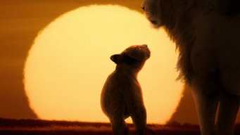 #7 LION