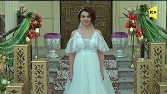 Episode 24 — Episode 24