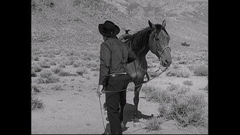 Have Gun, Will Travel T3E10