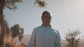 Carlos Ghosn: The Last Flight (2021)