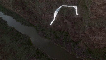 #50 Природжені вбивці