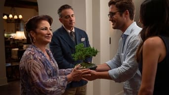 Still 7 from Father of the Bride