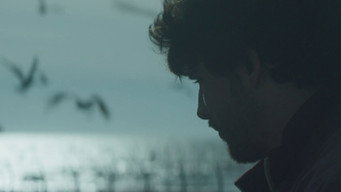 The Laughing King (2016)