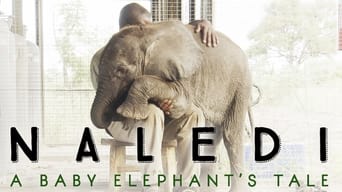 Naledi: A Baby Elephant's Tale (2016)