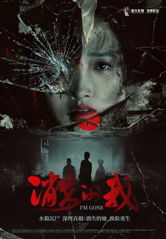 消失的我 poster
