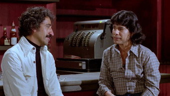 Rigo is Love (1980)